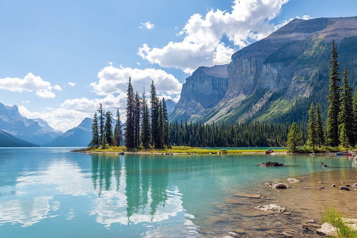 Zoals iedereen wel weet is Canada een dunbevolkt land met veel natuurlijke gebieden die relatief onaangetast zijn door menselijk ingrijpen. Hierdoor komen dieren zoals beren, orka’s en elanden veel voor in Canada. Maar wat is het nationale dier van Canada?