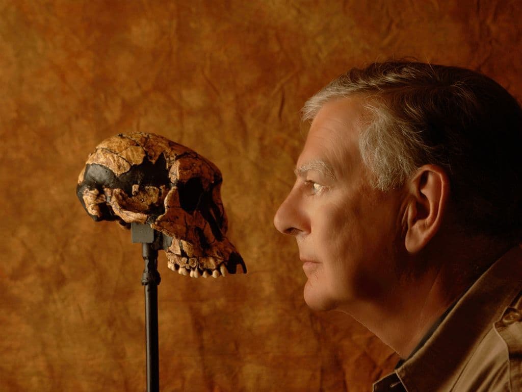 De beroemdste hominide overblijfselen op aarde zijn die van een 3,8 miljoen jaar oude Australopithecine die in 1974 bij Hadar in de Ethiopische deelstaat Afar werd gevonden. Dit skelet, eerder bekend als A.L.288-1, werd in grote kringen bekend als Lucy, naar ‘Lucy in the Sky with Diamonds’ van The Beatles. Ze was niet groter dan 107 cm. Dat ze wel degelijk rechtop kon lopen, wordt nog altijd door wetenschappers betwist. De skeletresten werden gevonden door het team dat onder leiding stond van een in 1943 in Amerika geboren paleo-antropoloog. Zijn naam graag.