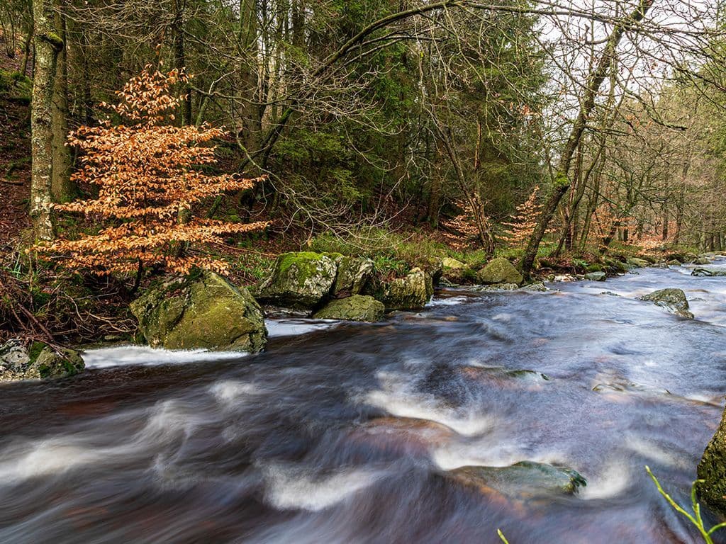 Een zijrivier van de Vesder, die ontspringt op de hoogte van Mont Rigi in de gemeente Waismes en 30 km verder nabij Pepinster haar monding heeft. Door het grote hoogteverschil snijdt ze een diepe vallei uit, vol met watervallen en stroomversnellingen. Hoe heet deze rivier die langs de dorpen Hockai, Solwaster, Polleur en Theux stroomt?