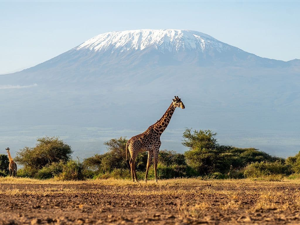 geen afbeelding