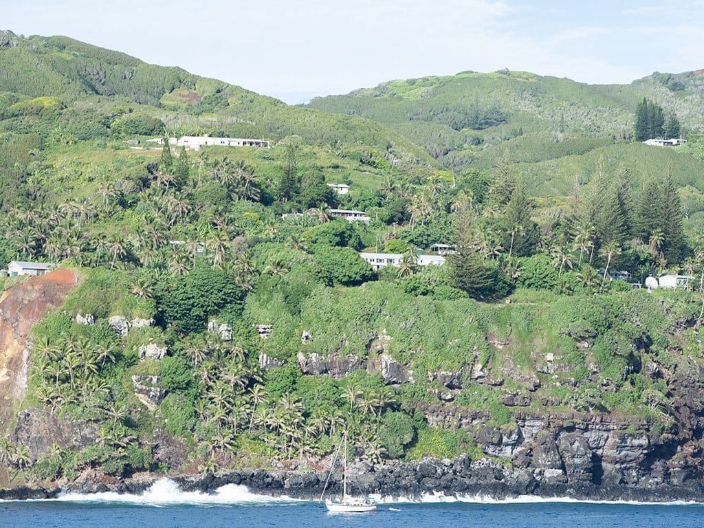 Dit eiland is ongeveer 5 km² groot. Het eiland heeft geen vliegveld of haven en is alleen bereikbaar per schip via de rede van Bounty Bay. Het eiland wordt wel beschouwd als één van de meest afgelegen plaatsen ter wereld. Wat is de naam van dit eiland die Tom Waes in 2013 bezocht?