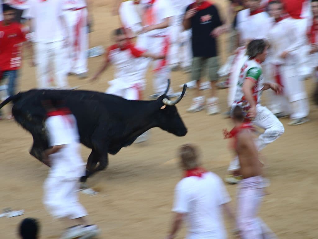 geen afbeelding