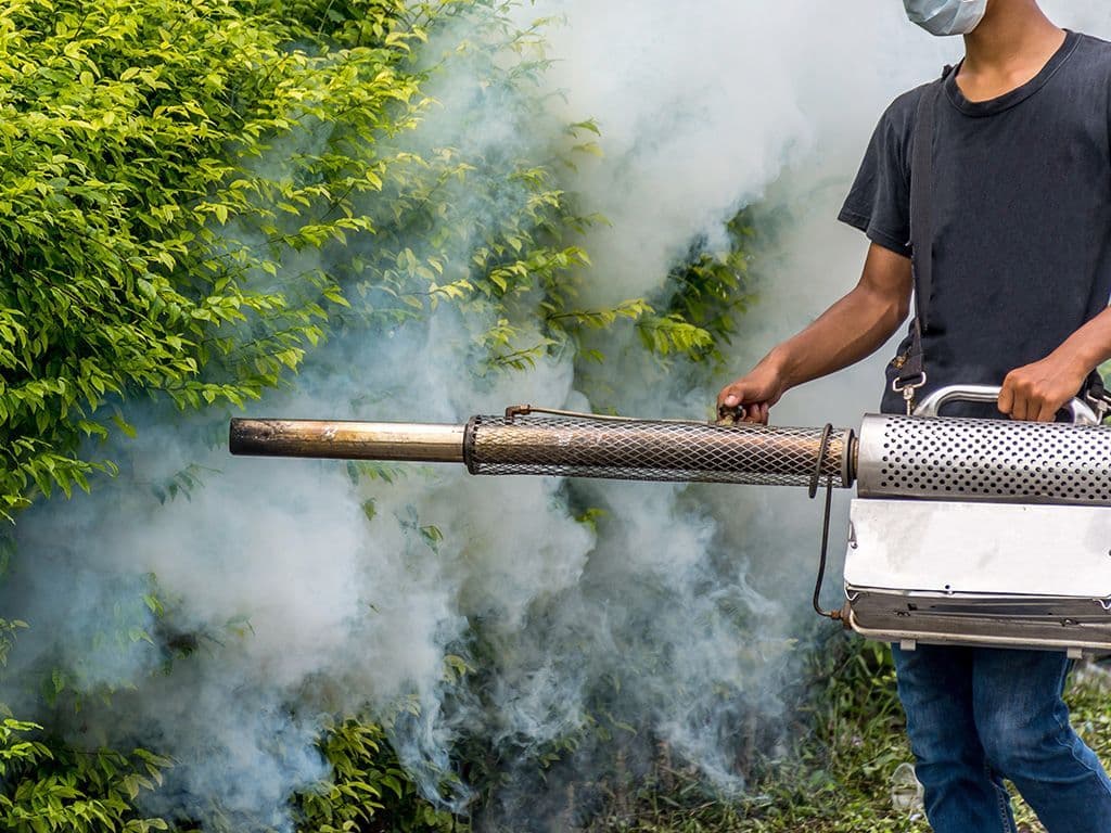 We zoeken een chemisch insecticide, veelvuldig gebruikt in de jaren 1940 tot 1970 als bescherming tegen ziekten overgedragen door muggen, zoals malaria. Echter, door de slechte afbreekbaarheid en de schadelijkheid voor mens en dier door ophoping in vetten is het gebruik van de stof tegenwoordig verboden in de westerse wereld.