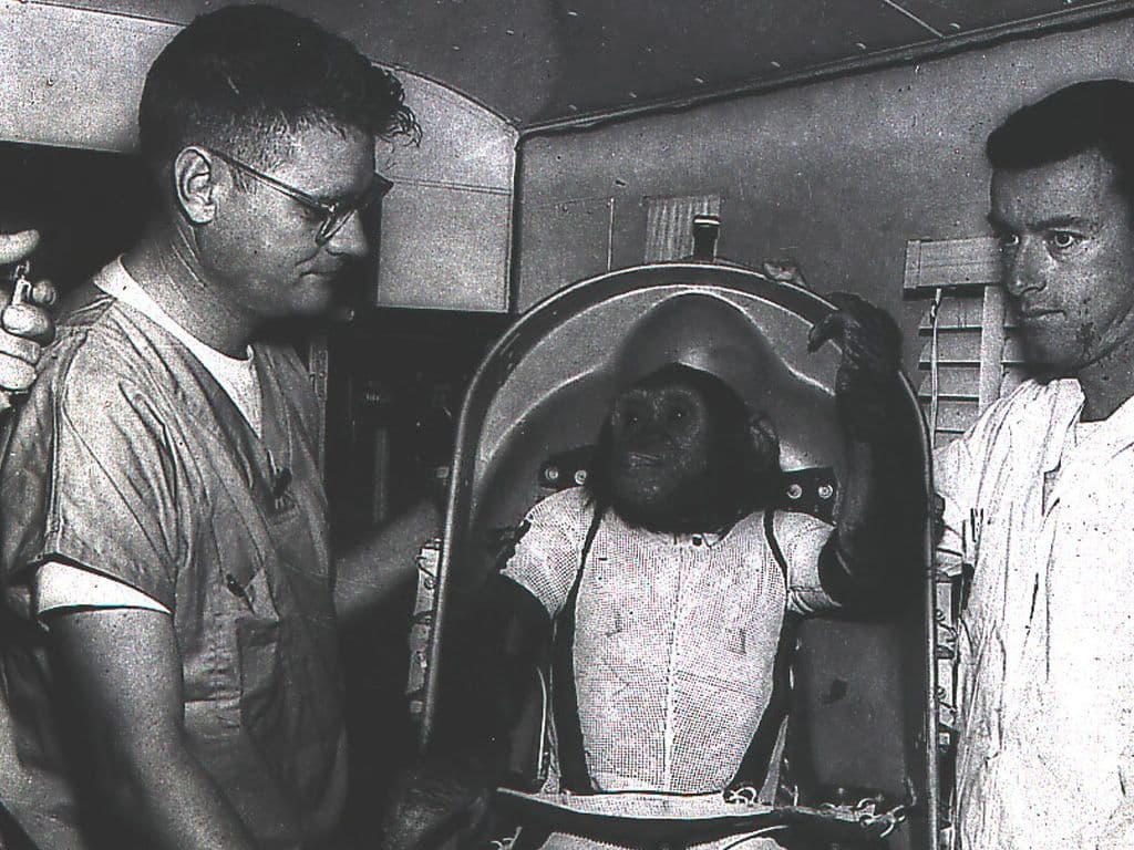 Wat is de naam van de eerste chimpansee in de ruimte? Hij werd op 31 januari 1961 door de Amerikanen de ruimte in geschoten. Hij voerde een taak uit, waaraan zijn functioneren in de ruimte beoordeeld kon worden en landde 16,5 minuut later in de Atlantische Oceaan.