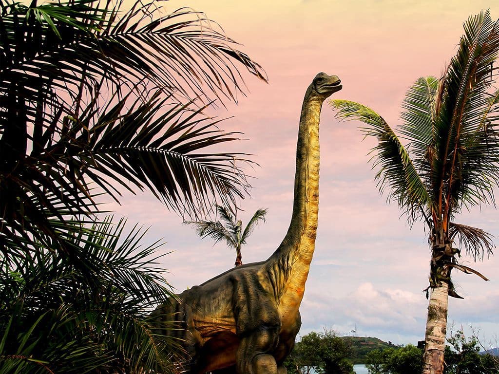 Wat is de naam van deze plantenetende sauropode dinosauriërs, behorend tot de Neosauropoda, dat tijdens het late Jura leefde in het gebied van het huidige Noord-Amerika? De verschillende soorten van deze soort zijn vaak ondergebracht in het geslacht Apatosaurus.