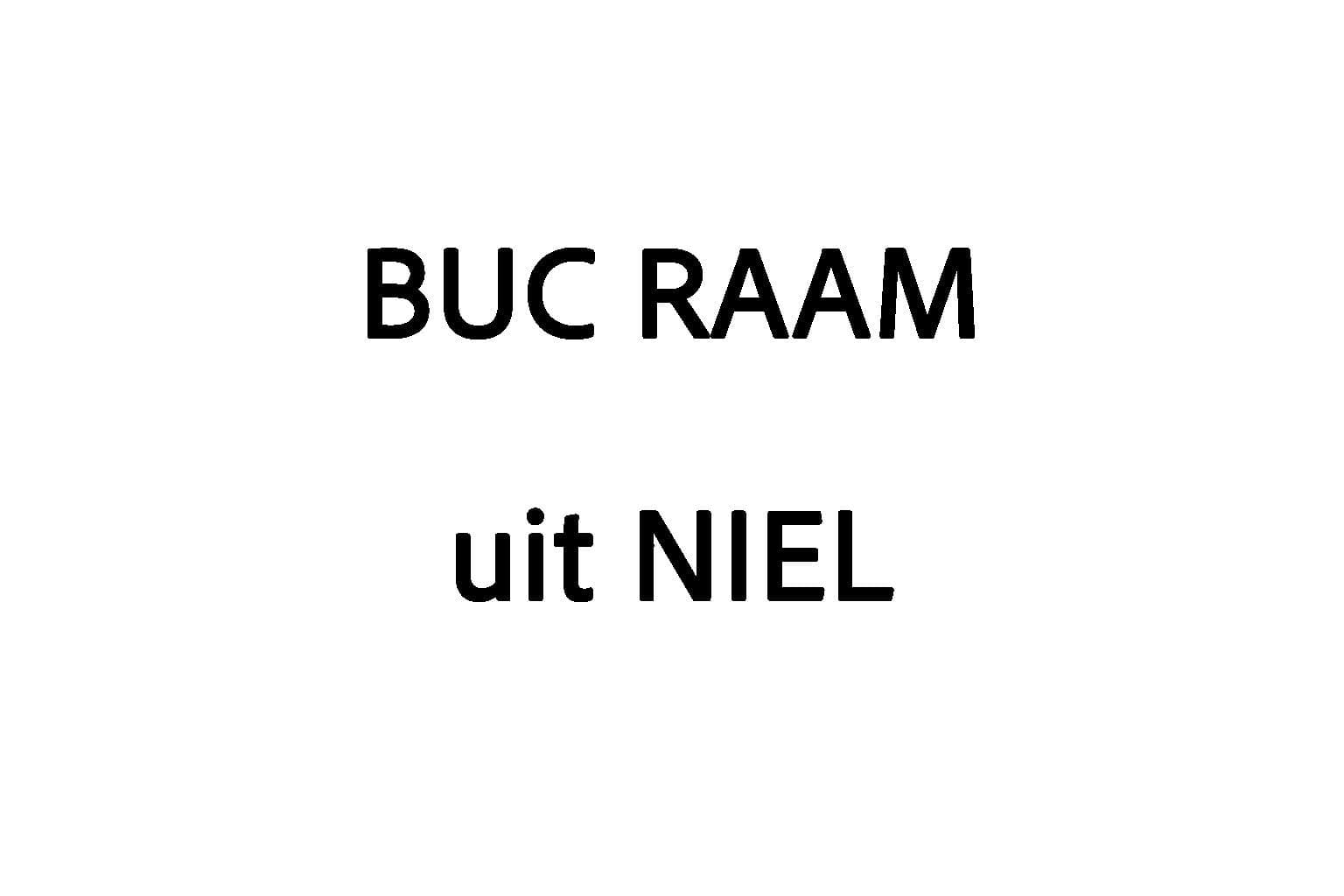 Welk beroep heeft de volgende persoon? Voor alle duidelijkheid, het gaat om een fictieve persoon en u dient het beroep te vormen met de letters uit hun naam en de gemeente waaruit de persoon afkomstig is. Het beroep moet terug te vinden zijn in het groene boekje.
