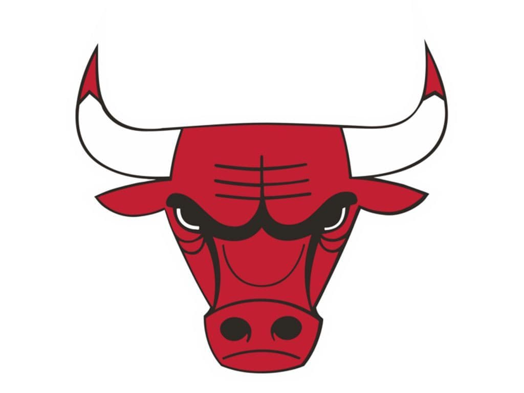 Chicago Bulls