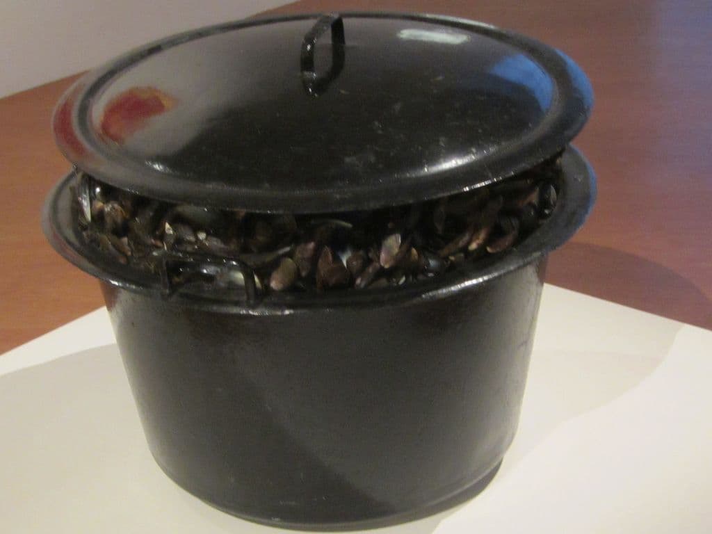 We zien hier het kunstwerk "De grote mosselpot". Van wiens hand is dit werk uit 1965?