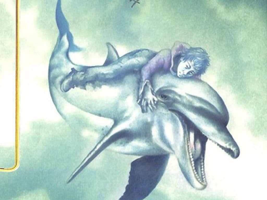 Je ziet een afbeelding van een boekenserie geschreven door Patrick Lagrou en geïllustreerd door Marijke Meersman. Het is bedoeld voor kinderen vanaf 12 jaar. Het zijn avonturen met dolfijnen. De reeks begon in 1992 en was in 2012 aan haar tiende deel toe. Het zijn aparte verhalen, maar vanaf boek 5 volgen ze elkaar zowat rechtstreeks op. Boek 9 maakt het verhaal van boek 8 af. Deze boeken verschenen in Duitsland, Oostenrijk en Zwitserland en de Verenigde Staten en Canada. Graag de titel?