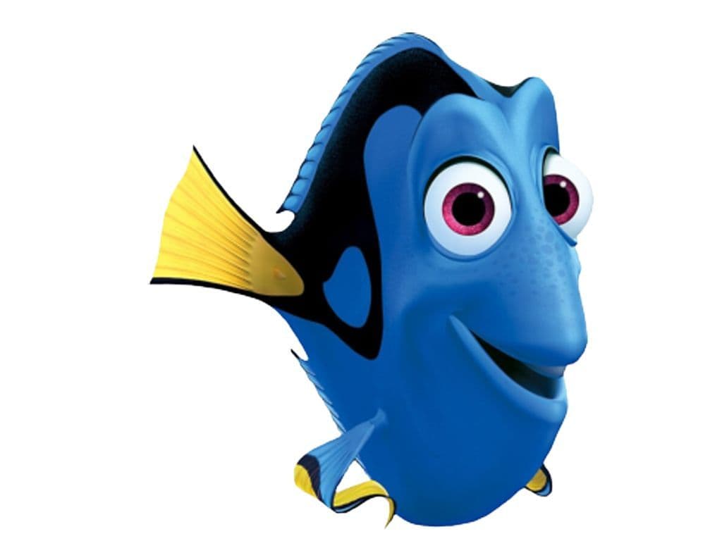 Iedereen kent nog de film Finding Nemo van Pixar. In 2016 komt er een nieuwe film over een ander figuurtje uit Finding Nemo. Wat is de naam van dit blauw visje?