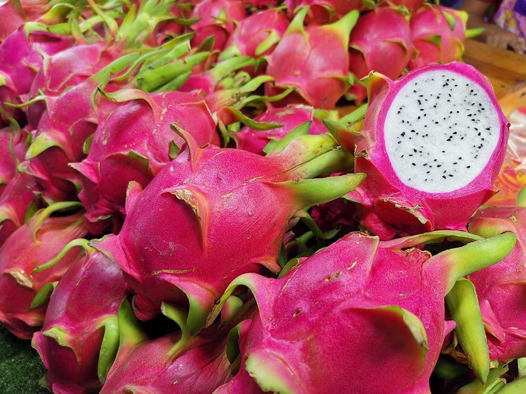 Deze vrucht van verschillende cactussoorten bestaat in 3 verschillende varianten: wit vruchtvlees met een roze schil, roze vruchtvlees met een roze schil en wit vruchtvlees met een gele schil. Wat is de gezamenlijke naam van deze vrucht?