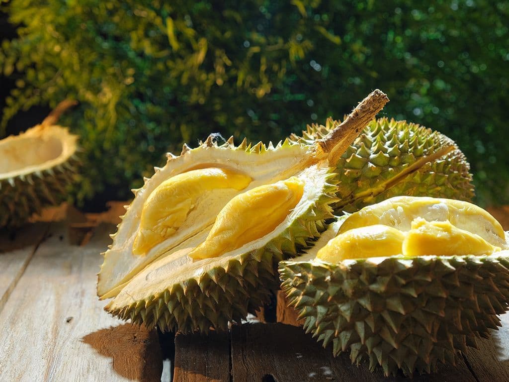 Welke grote, stekelige vrucht uit Zuidoost-Azië is berucht om zijn extreem sterke, doordringende geur, maar wordt door liefhebbers wereldwijd beschouwd als de ‘koning der vruchten’ en is vaak verbonden in hotels en openbaar vervoer?