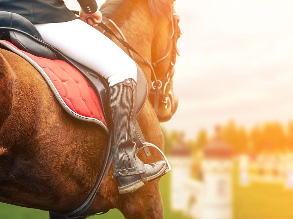 Een tak van de paardensport die volledig buiten wordt gereden in zeer variërend gebied wat betreft de bodem, met de bedoeling om binnen een bepaalde tijd een afstand af te leggen. Men moet een gemiddelde snelheid aanhouden om het paard in perfecte conditie te houden, over een afstand tussen 20 en 160 km. Hoe noemt deze paardensport, waarbij tijdens de wedstrijd meerdere veterinaire controles gedaan worden?