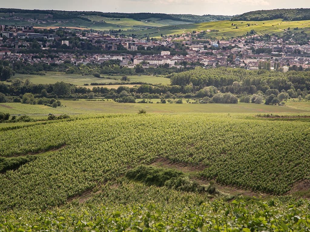 De stad die we zoeken is een Franse stad in het westen van het departement Marne met ongeveer 24.000 inwoners. De stad ligt aan de Marne, direct ten zuiden van deze rivier en in het midden van de Champagne. Historisch gezien is dit het centrum van de champagne. Welke stad zoeken we?