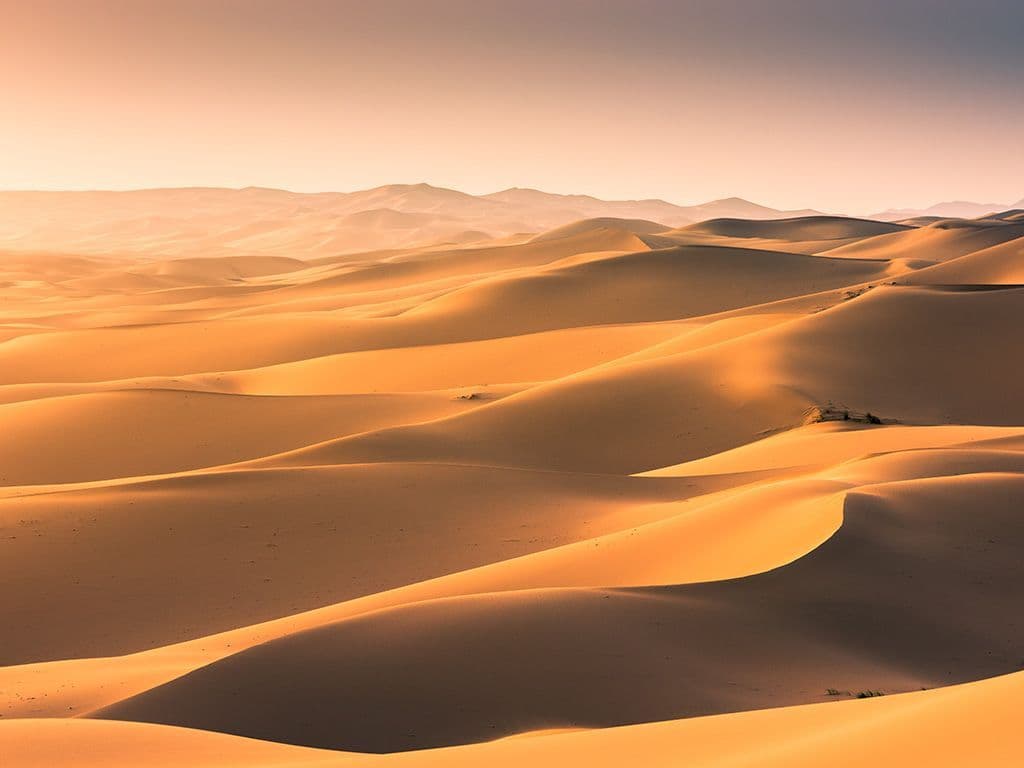 Een woestijn in het noorden van China en het zuiden van Mongolië, met een oppervlakte van ongeveer 1,3 miljoen km² is op vier na de grootste woestijn ter wereld. Een groot deel van de woestijn bestaat niet uit zand, maar uit kale rots. Geef de naam van deze woestijn, waar de Trans-Mongoolse spoorlijn doorvoert.