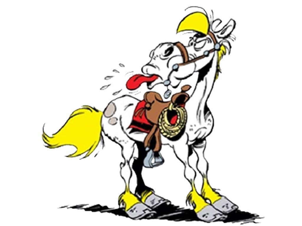 Wat is de naam van dit fictief paard uit de Belgische stripreeks Lucky luke?