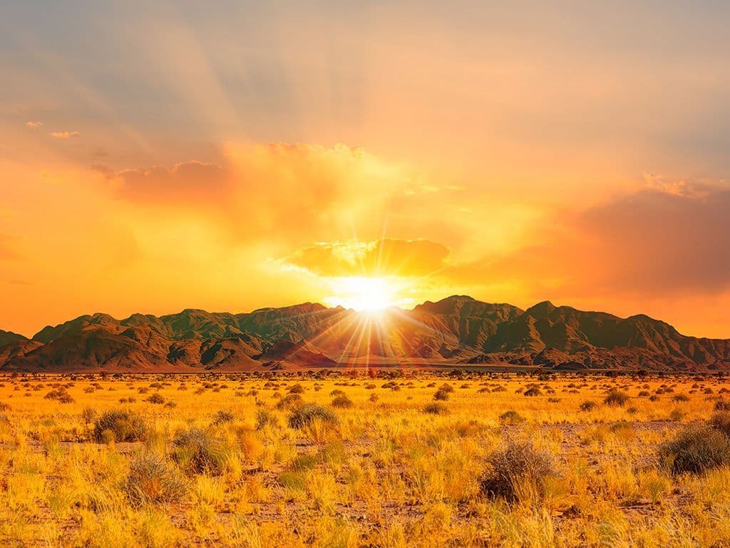 In zuidelijk Afrika ligt een woestijn van ongeveer 900.000 km², die in feite maar een half- woestijn is. De reden hiervoor is dat er aanzienlijk meer regen valt dan in een woestijn en het gebied bestaat uit zandwoestijn, grassige steppen en savanne. Het gebied beslaat een groot deel van Botswana en Namibië, en delen van Zimbabwe, Zuid-Afrika en Angola. Geef de naam van deze woestijn waar de oudste bewoners de Bosjesmannen zijn.