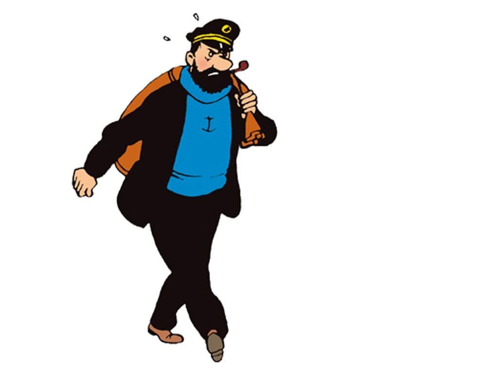Wat is de naam van de kapitein die bevriend is met Kuifje?