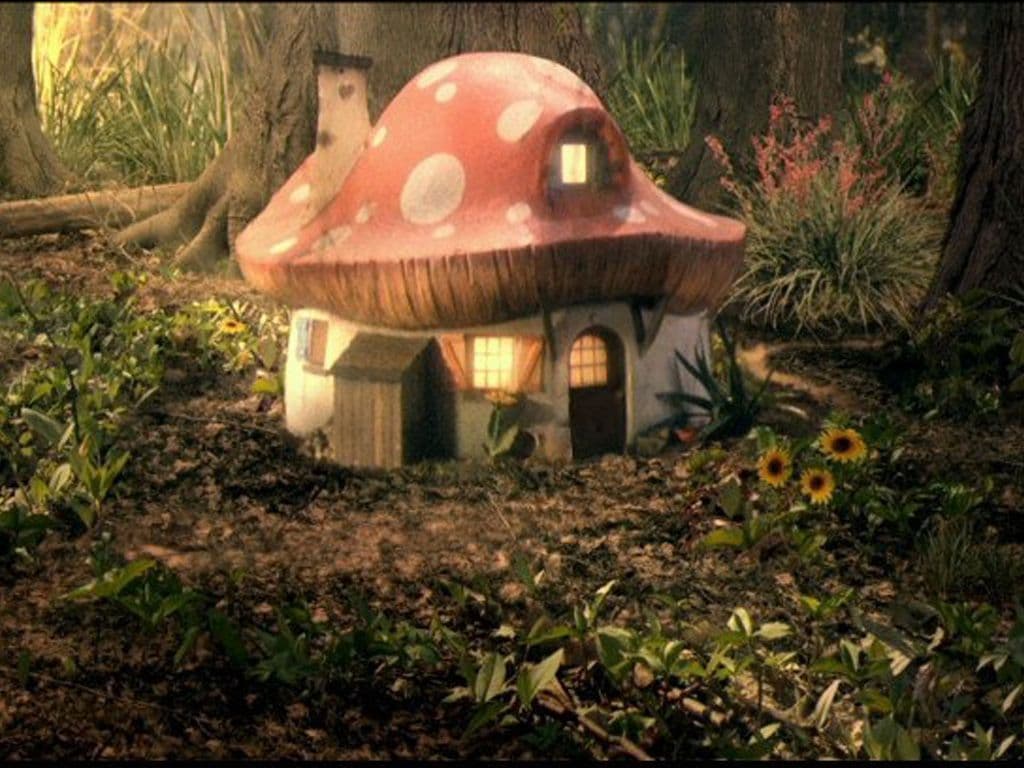 Iedereen kent Kabouter Plop en zijn vrienden. Maar weet jij hoe de plaats in het kabouterbos heet waar alle kabouters samenkomen om Plopkoeken of Kabouterpap te eten? Dit is ook de locatie waar de meeste kabouterfeestjes plaatsvinden en waar de kabouters het liefst van al dansen. Weet jij de naam van deze gezellige plek?