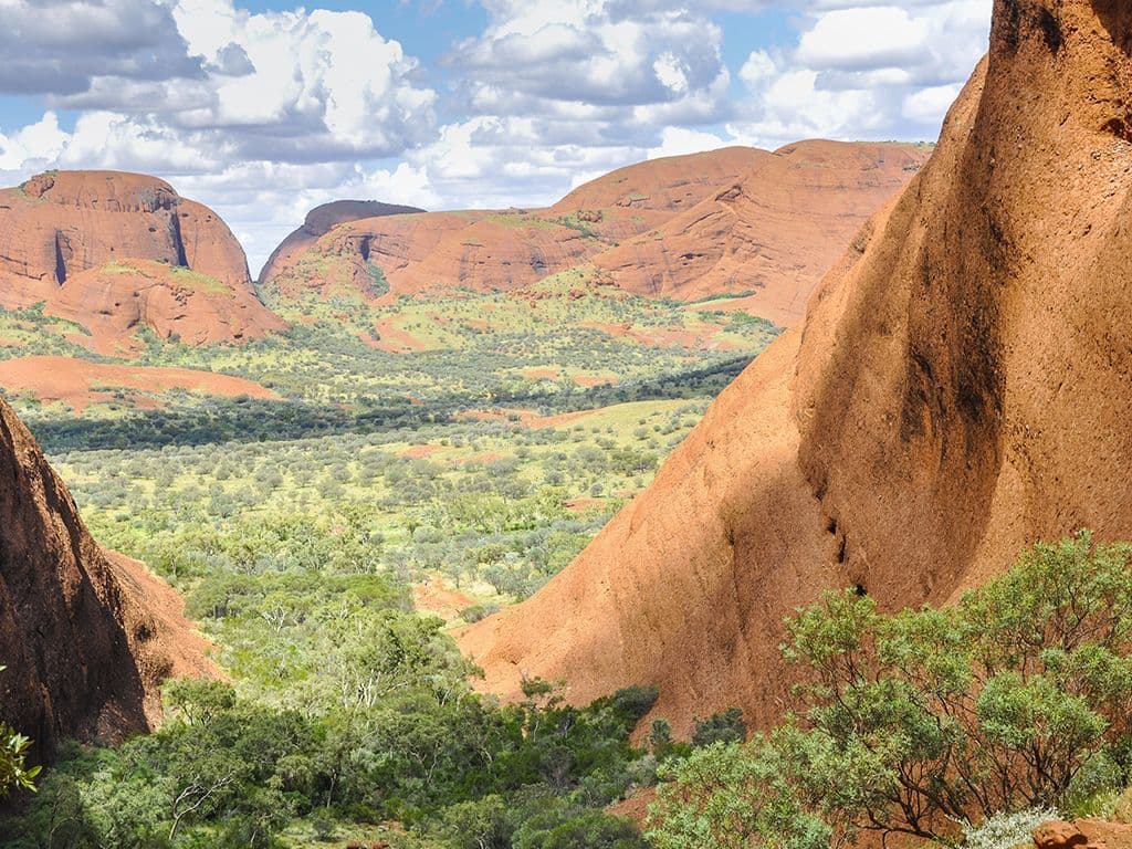 De Aboriginals hechten aan de formatie rotsen die we zoeken een heilige betekenis. Daarom is het oostelijk deel van de rotsgroep niet toegankelijk voor toeristen. De formatie ligt ten westen van Ayers Rock, de reusachtige rotsformatie in het midden van Australië. Geef de naam van de groep van een 30-tal rotsen.