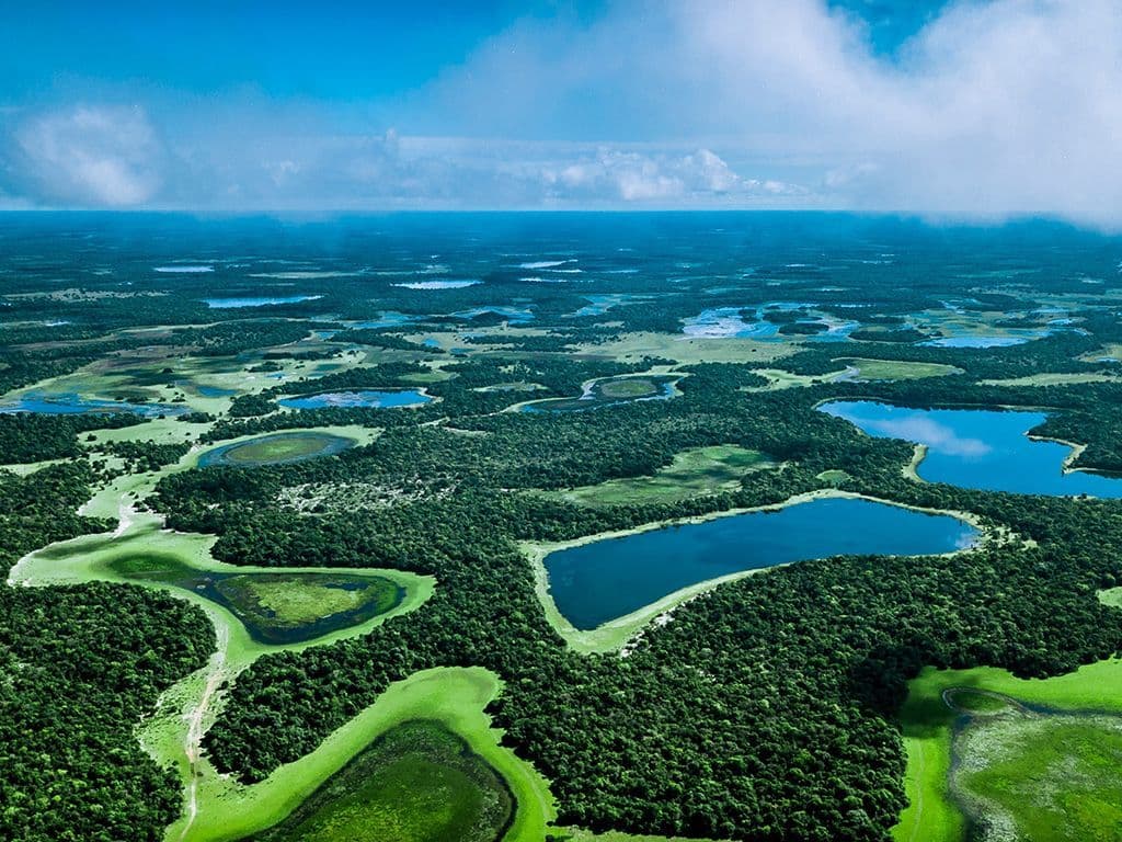 We zoeken de naam van het grootste draslandgebied ter wereld. De regio bevindt zich in Zuid-Amerika, voor het overgrote deel in Brazilië maar het bestrijkt ook delen van Bolivia en Paraguay. In totaal bedraagt het gebied 150.000 km².