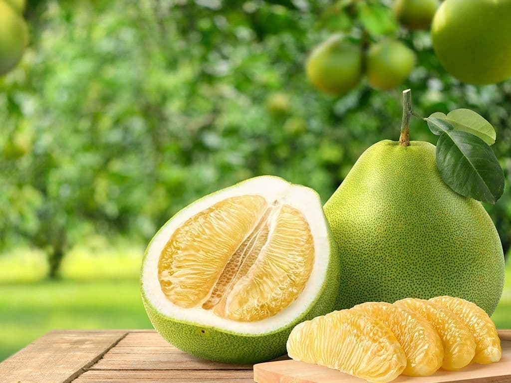 We zijn voor de volgende vraag op zoek naar een boomsoort en gelijknamige vrucht. Het is de kruising tussen een pompelmoes en een grapefruit. De vrucht komt oorspronkelijk uit Thailand en Maleisië en heeft zich van daaruit verspreid over China, India en Iran. Jullie krijgen nog de Latijnse naam om af te sluiten: Citrus maxima paradisi. Welke vrucht?