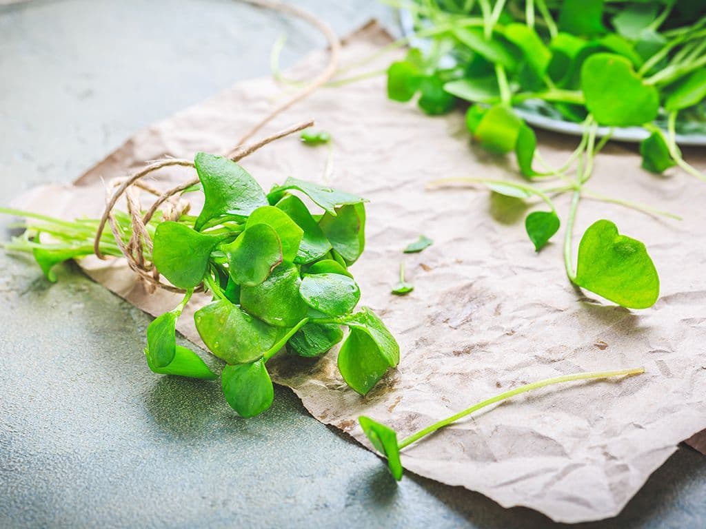 Deze groente valt onder de zogenaamde categorie van de vergeten groenten. Het is een smaakvolle, groene bladgroente die oorspronkelijk uit het Midden-Oosten komt. Je herkent ‘m aan de kleine, ruitvormige, groene blaadjes. Deze eenjarige plant heeft een licht zure en zoute smaak en kan zowel gekookt als vers gegeten worden. Hoe heet deze groente?