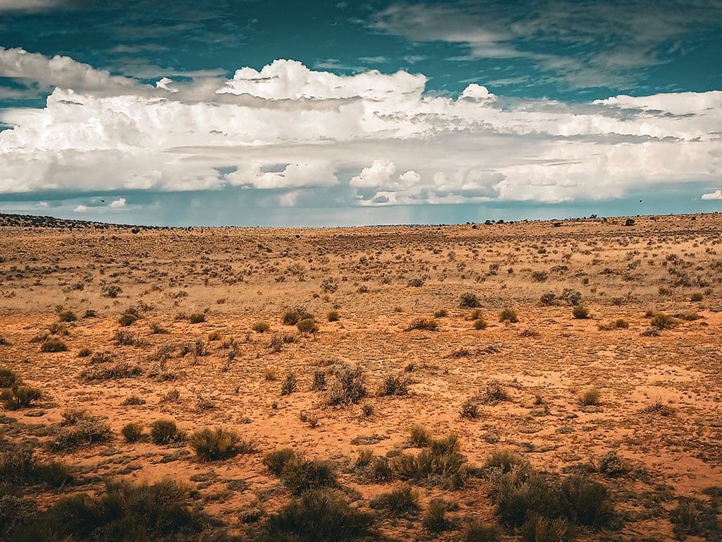 Hoe heet met een grasvlakte die tot zelfde soort behoort als steppen en savannes en die vooral in Noord-Amerika voorkomt.