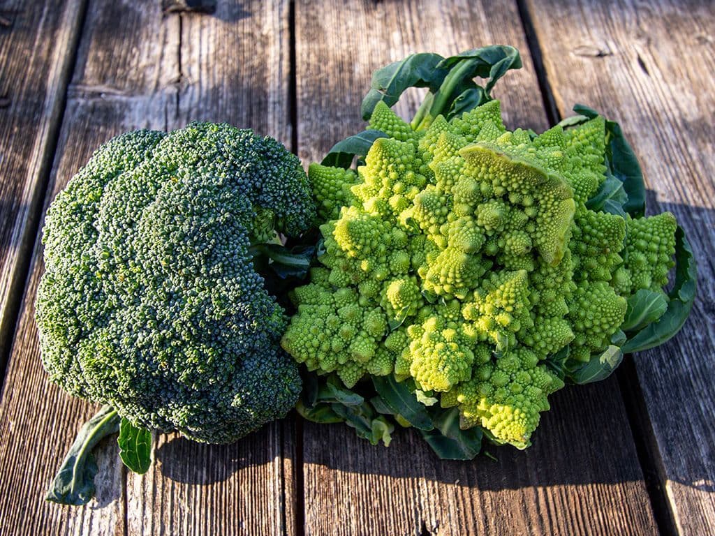 Deze groente, een subsoort van de Brassica oleracea, lijkt erg veel op een
geelgroene bloemkool en wordt daarom ook wel torentjesbloemkool genoemd. Voor
de kenners: fractoli is nog een andere naam. Wat is de courante naam van deze
groente?