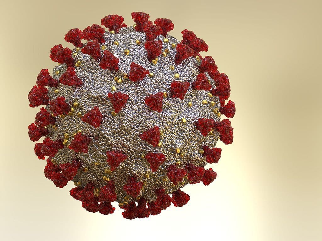 Eind 2019 vond in het Chinese Wuhan een uitbraak plaats van een tot dan toe onbekend virus. Het aantal besmettingen en doden liep snel op begin 2020. Wat is de naam van dit virus?