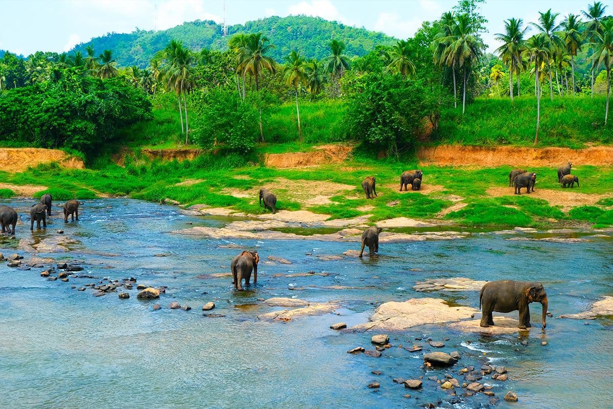 Sri Lanka is een onafhankelijk eiland in de Indische Oceaan, ten zuid-oosten van Indië. Tot voor 1972 had Sri Lanka echter een andere naam. Welke?