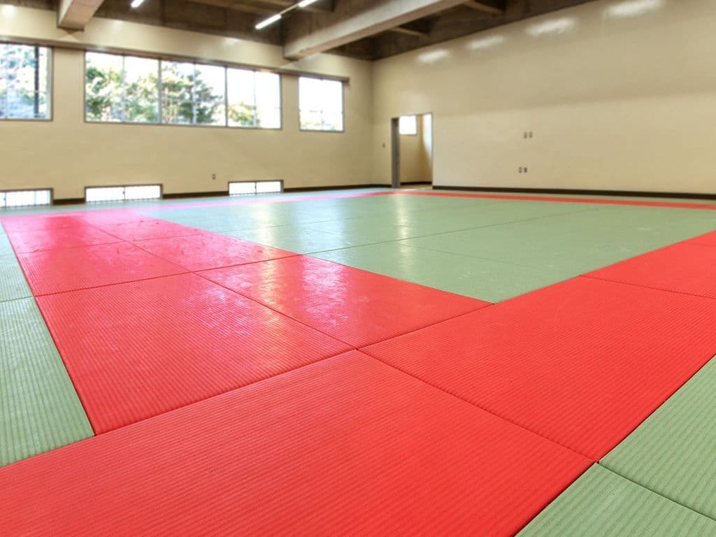 Welke Japanse naam heeft de mat waar judoka’s op vechten?