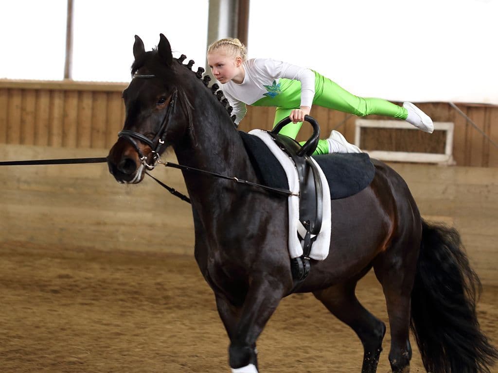 We zijn op zoek naar een discipline binnen de paardensport. Het is een combinatie van turnen, ballet, acrobatie en choreografie op de rug van een paard dat vastgemaakt aan een lange lijn in een cirkel rondloopt. Het wordt in groep, in duo of solo beoefend. Er worden al jaren EK’s en WK’s georganiseerd in deze discipline, maar in Vlaanderen staat het nog maar in zijn kinderschoenen. Welke specifieke discipline in de paardensport zoeken wij?