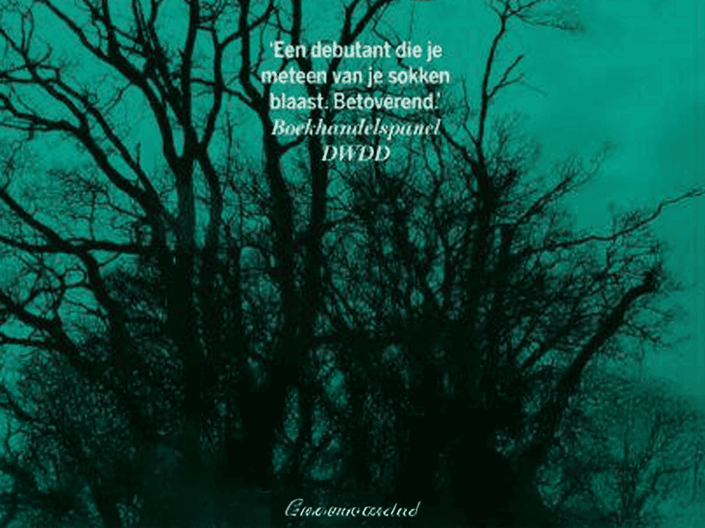 geen afbeelding