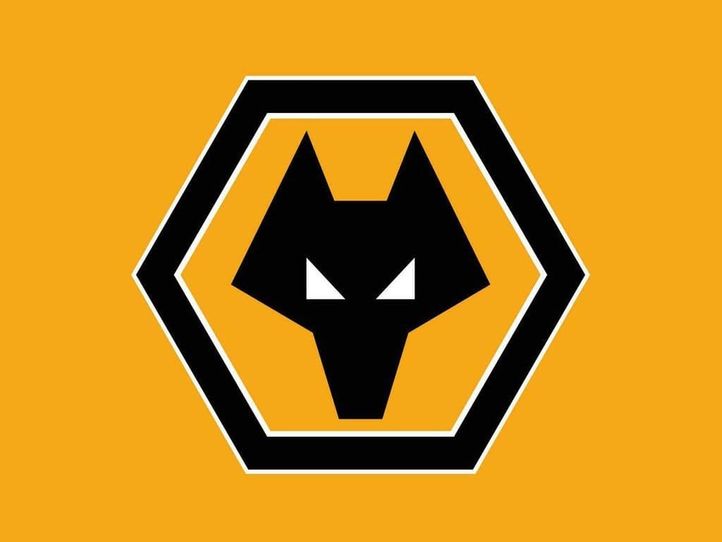 Deze Engelse voetbalclub die is opgericht in 1877 en sinds 2018 weer uitkomt in de Premier League, speelt haar thuiswedstrijden in het Molineux stadion. In de jaren vijftig behaalde de club haar grootste successen. Het werd drie keer Engels landskampioen en won twee keer de FA Cup. Op dit moment speelt Rode Duivel Leander Dendoncker er. Welke voetbalclub zoeken we hier?