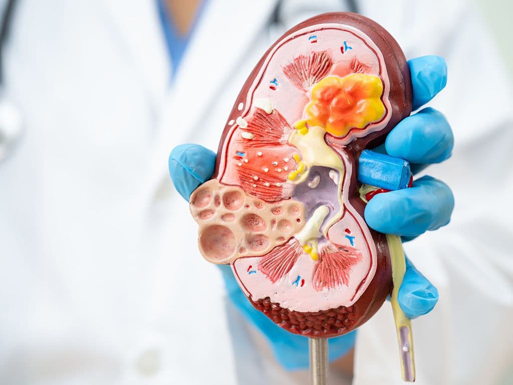 Geneeskunde en lichaam