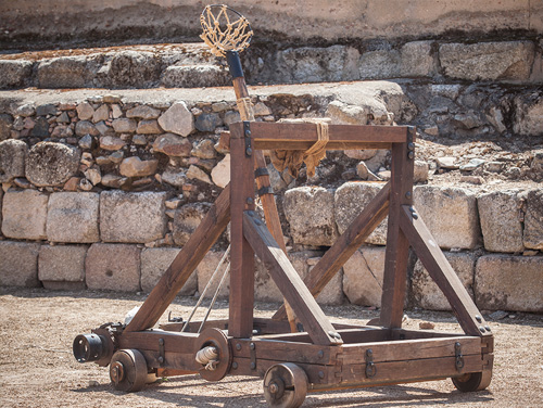 Onager