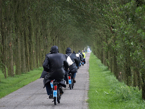 Solex
