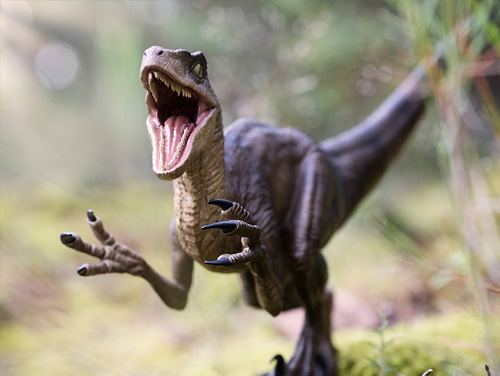 Ontmoet een beruchte dinosaurus uit het late Krijt in Mongolië
