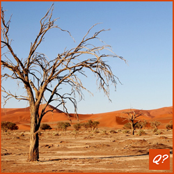Gemiddelde quizvraag Woestijnen Afrika 8468