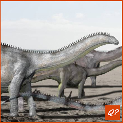 Quizvraag Dinosauriërs 3195